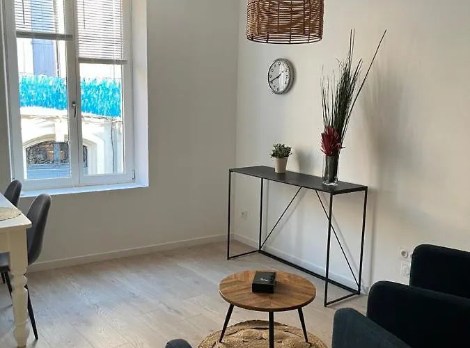 Nouveau Superbe Grand T2 Centre Ville